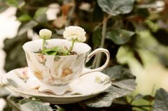 姓那女孩名字属猪2019好听的