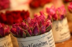 姓权女孩名字属猪2019好听的