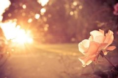 姓万俟女孩名字属猪2019好听的