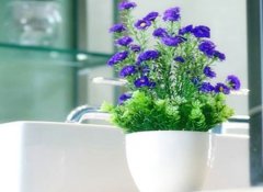 姓亓官女孩名字属猪2019好听的