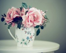 姓爱女孩名字属猪2019好听的