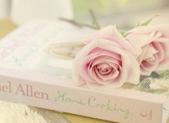 2019姓施女孩名字洋气的