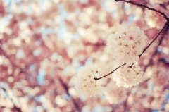 2019姓刁女孩名字洋气的