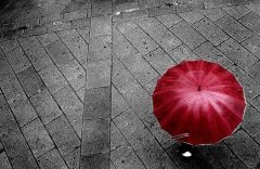 2019姓卢女孩名字洋气的