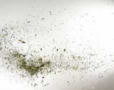 属猪姓仲女孩名字2019