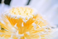 姬姓女孩好听的名字2019