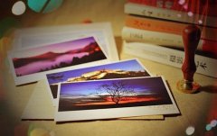 浦姓100分的女孩好名字