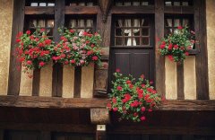 鱼姓女孩名字大全2019