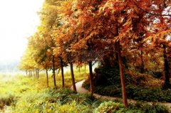 生辰八字起名：午时出生的女宝宝怎么样起名，五行缺什么