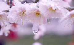 生辰八字起名：2019年2月20号出生的女宝宝怎样起名字好