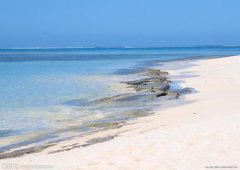 生辰八字起名：2019年3月2号出生的女宝宝怎样起名字好，五行缺什