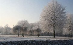 属狗午时出生的女孩起名方法和禁忌