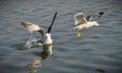 生辰八字起名：2019年3月30号出生的女宝宝怎么样起名字，五行缺