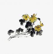 属兔戌时出生的女孩适合起什么名字，禁用什么字