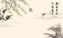 属兔亥时出生的女孩适合起什么名字，禁用什么字