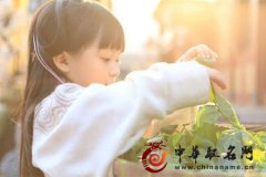 诗经起名女孩名字大全 《出处+解释》