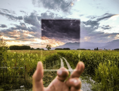 园林公司起名大全集