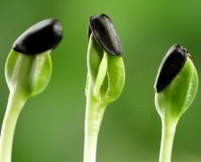 什么样的名字催旺事业