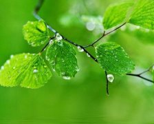 怎样取个有意义的名字