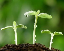 什么名字最会赚钱