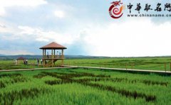 农产品公司名称起名技巧