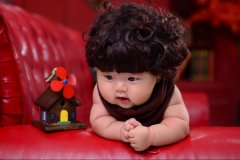 2016年2月女宝宝起名大全