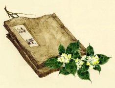 如何利用典籍给宝宝取名，宝妈们要为宝宝学习一下