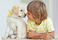 男新生儿乳名大全洋气2018