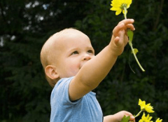 鸡年男生取名大全周姓