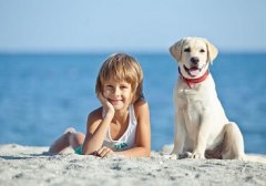 悦耳有内涵的男宝宝名字