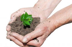 土字旁的男生名字大全