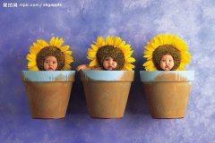 女羊宝宝起名字