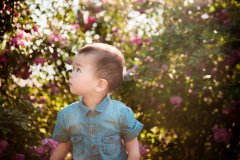 鸡年李宝宝起名大全