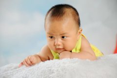 杨姓马宝宝起名