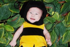 羊宝宝彭姓起名