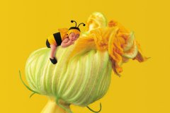 刘姓龙宝宝起名