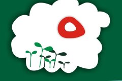 邵姓马宝宝起名取名