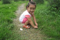 兔年女宝宝起名取名可以用晨字