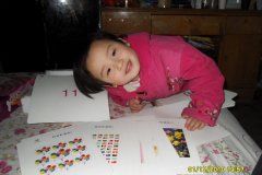 艾姓17年鸡宝宝起名取名