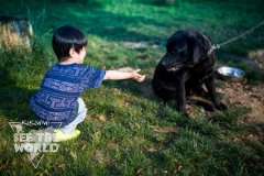 猴年戴姓宝宝起名取名