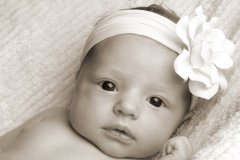 李宝宝起名取名字大全2016