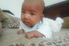 属虎女宝宝起名取名大全