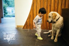 刘姓宝宝起名取名宝字辈