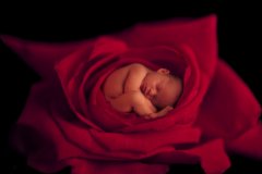 马年康姓宝宝起名取名