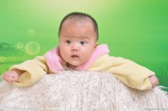 猴宝宝起名取名全书