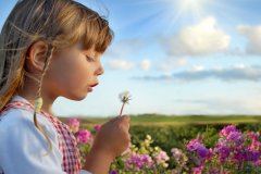 小宝宝起名取名属羊的