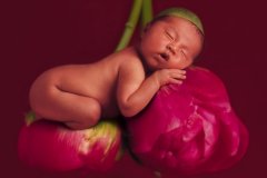 兔宝宝起名取名宜用哪些字