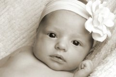 汪姓君字辈宝宝起名取名