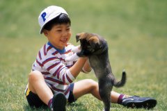 四字闫姓女宝宝起名取名大全