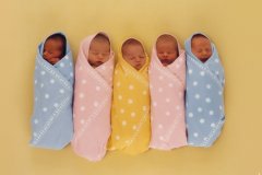 庆字辈男孩起名取名猴宝宝